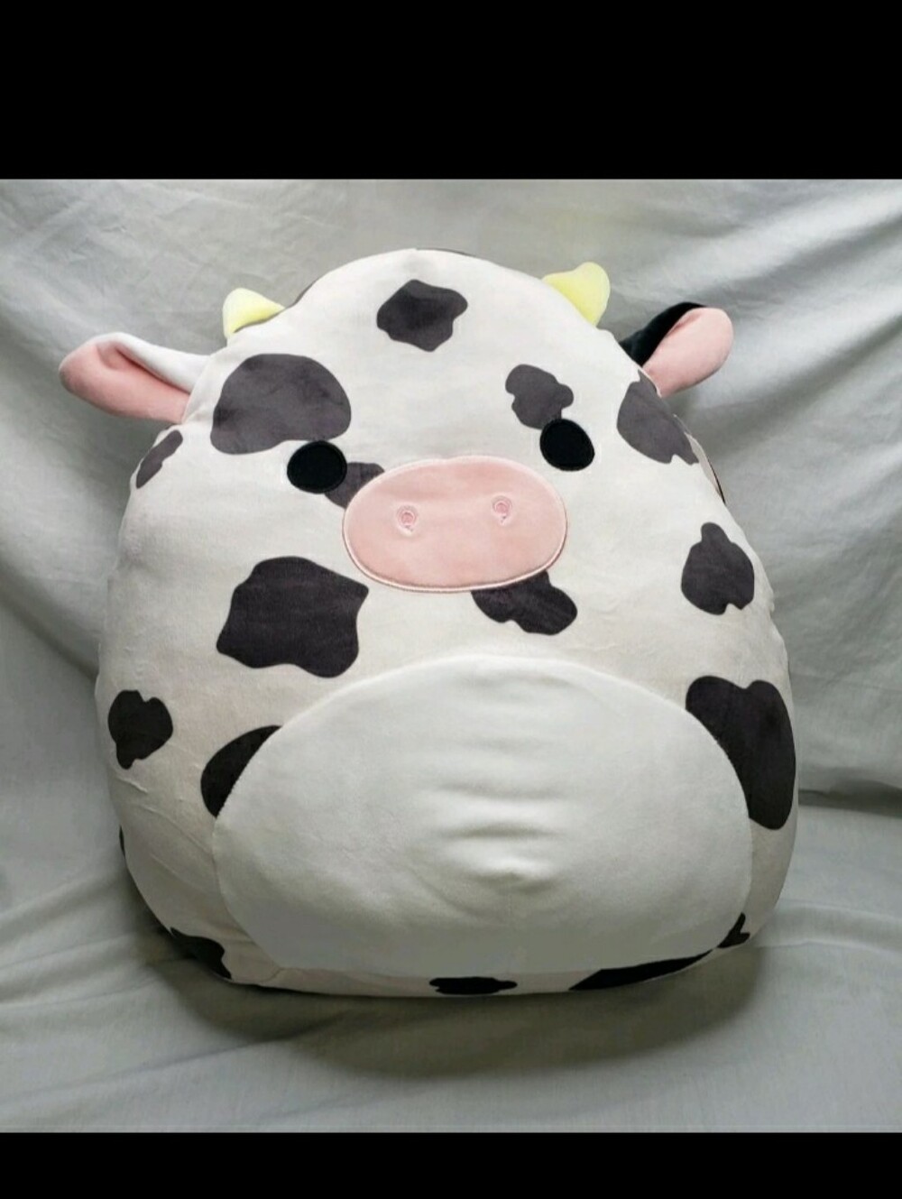 Colin the Cow Squishmallows 16 inch Walgreens Special